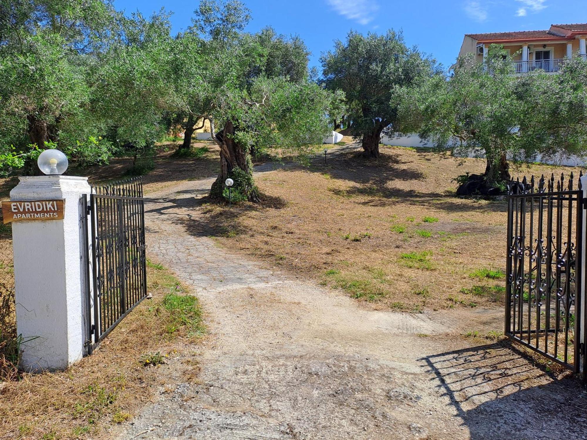 מסונגי Evridiki Apartments מראה חיצוני תמונה