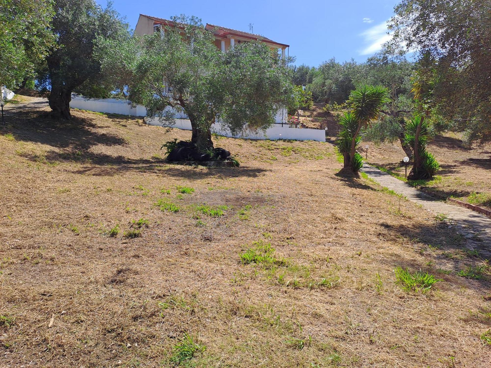 מסונגי Evridiki Apartments מראה חיצוני תמונה