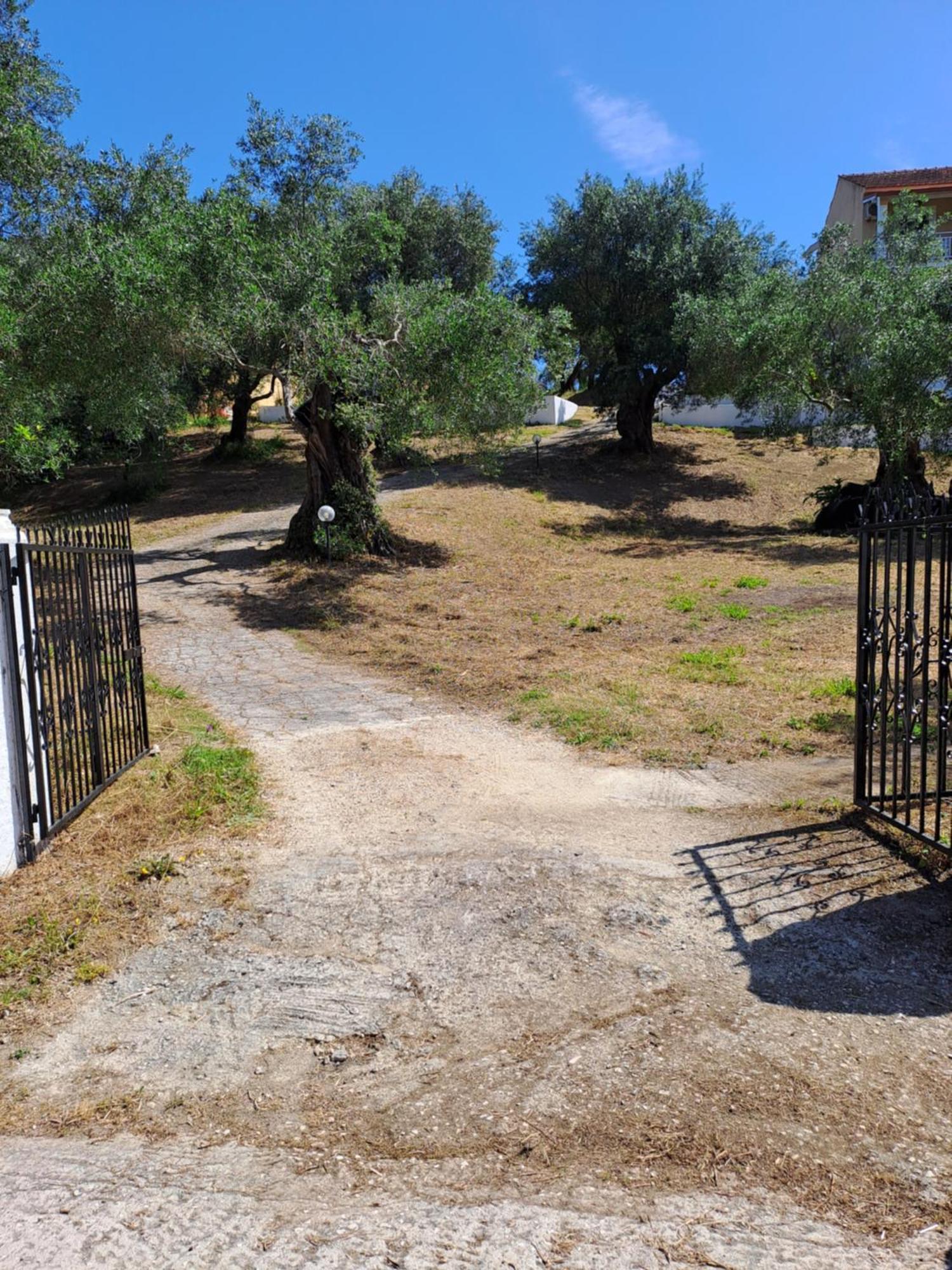 מסונגי Evridiki Apartments מראה חיצוני תמונה