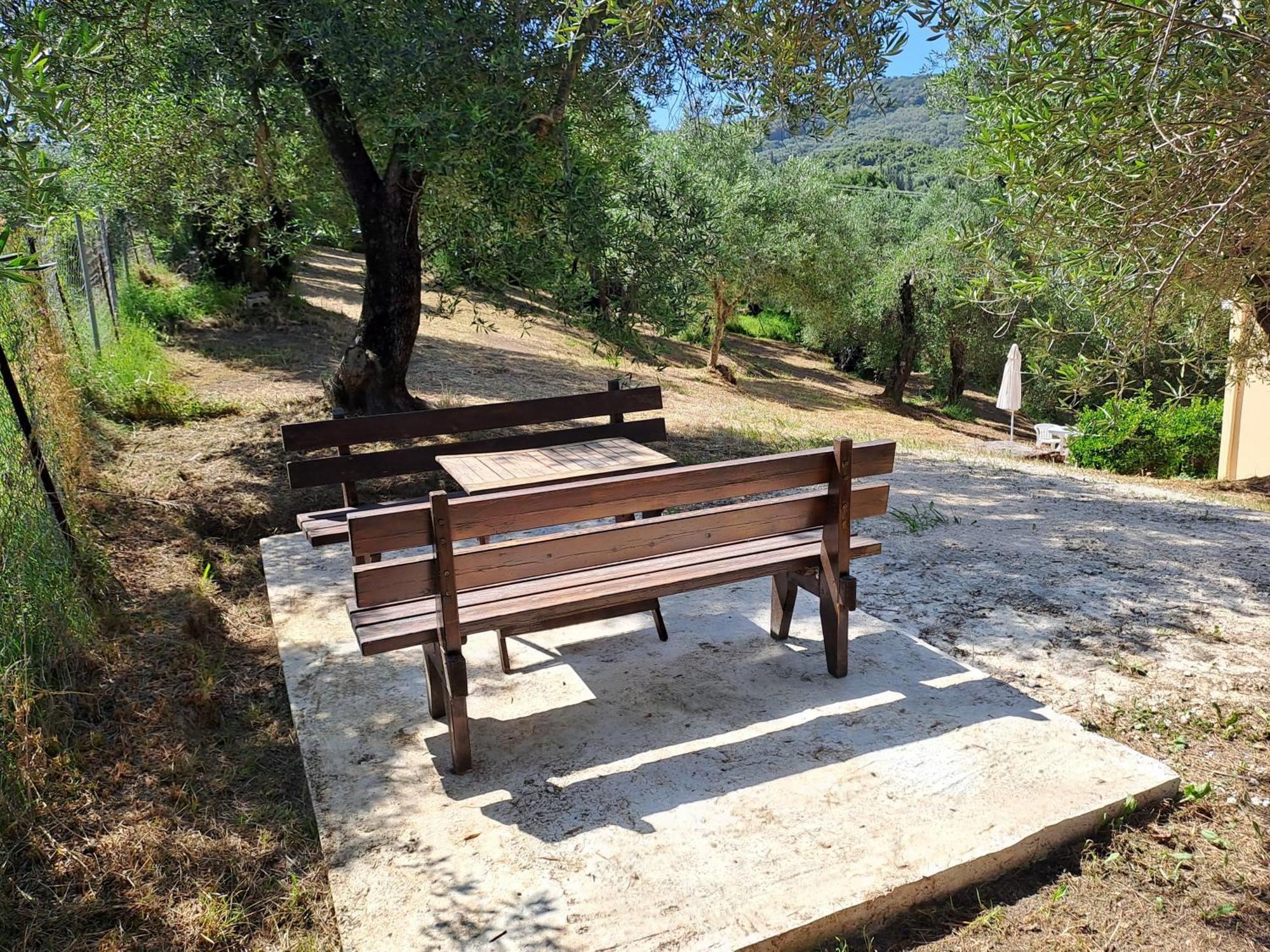 מסונגי Evridiki Apartments מראה חיצוני תמונה