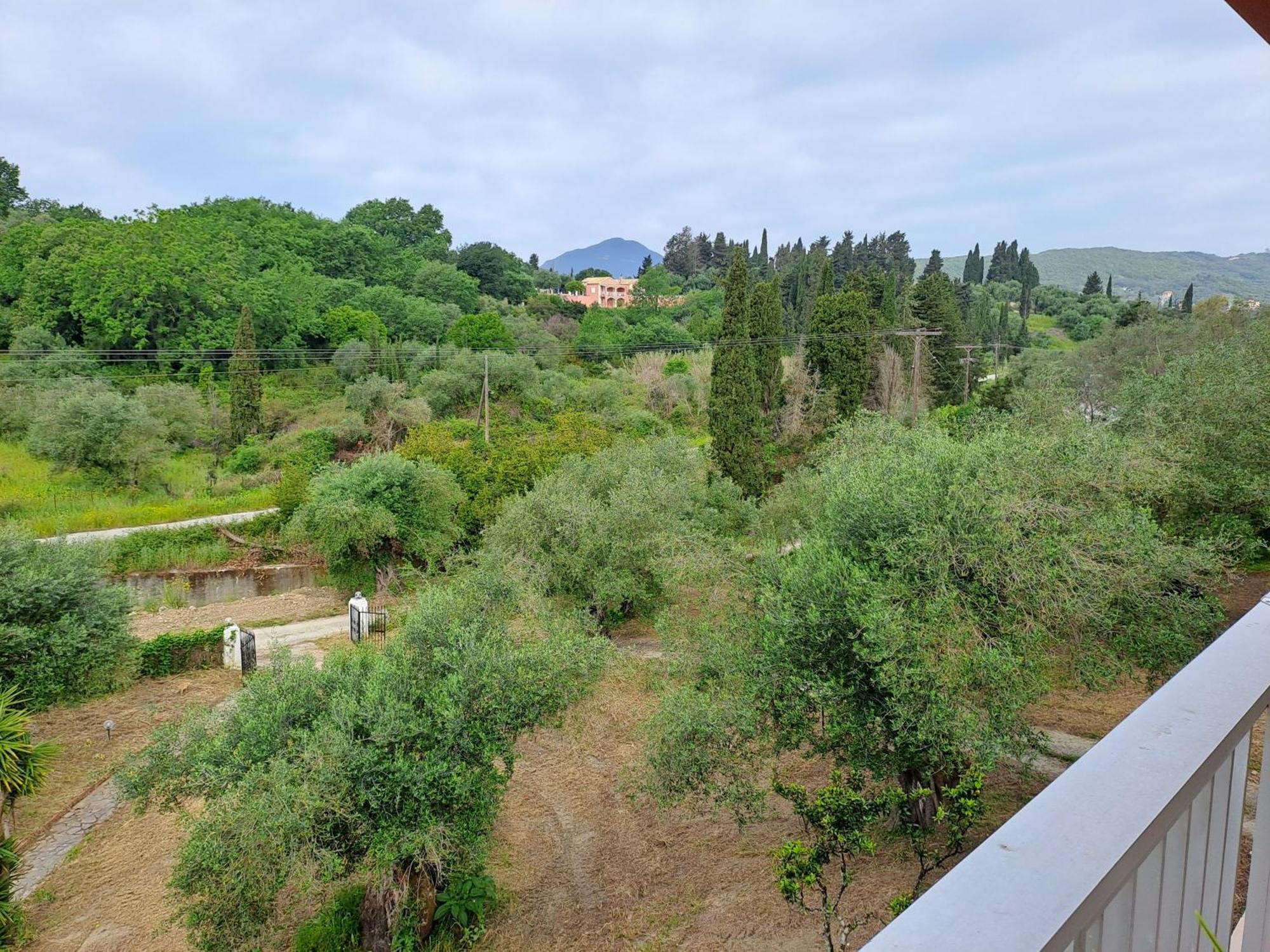 מסונגי Evridiki Apartments מראה חיצוני תמונה